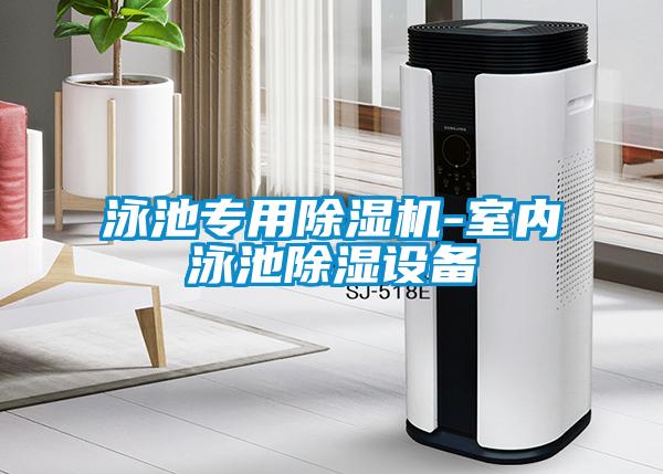 泳池專用除濕機-室內(nèi)泳池除濕設(shè)備