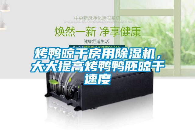 烤鴨晾干房用除濕機(jī)，大大提高烤鴨鴨胚晾干速度