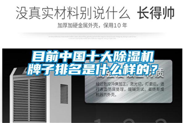 目前中國十大除濕機牌子排名是什么樣的？