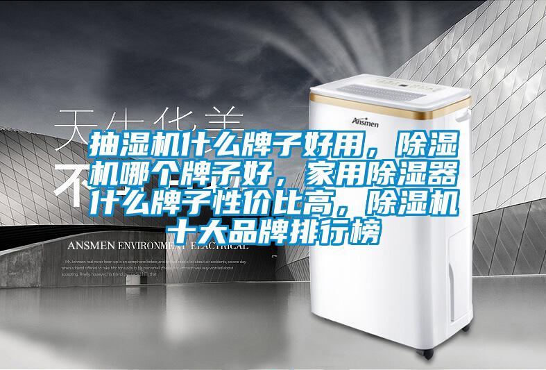 抽濕機(jī)什么牌子好用，除濕機(jī)哪個(gè)牌子好，家用除濕器什么牌子性價(jià)比高，除濕機(jī)十大品牌排行榜