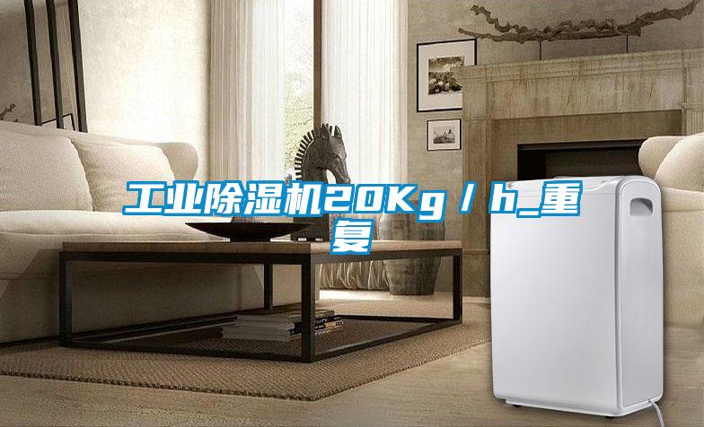 工業(yè)除濕機20Kg／h_重復(fù)
