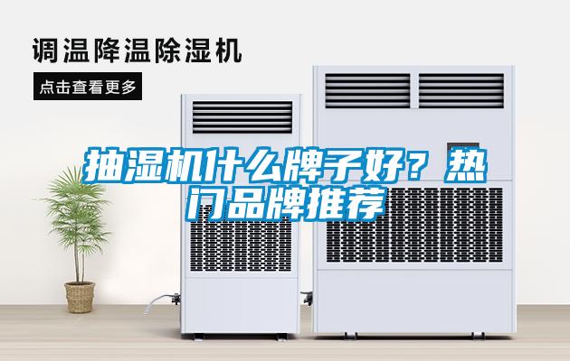 抽濕機(jī)什么牌子好？熱門品牌推薦