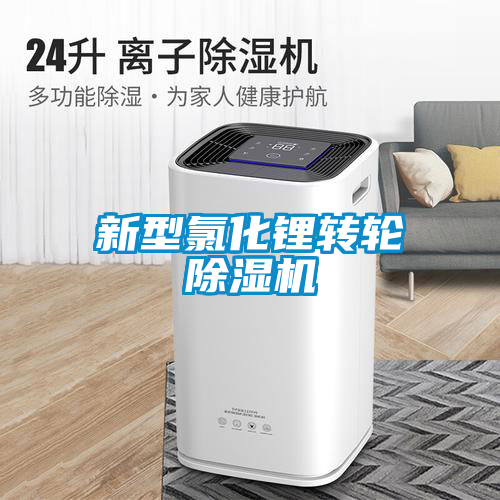 新型氯化鋰轉(zhuǎn)輪除濕機