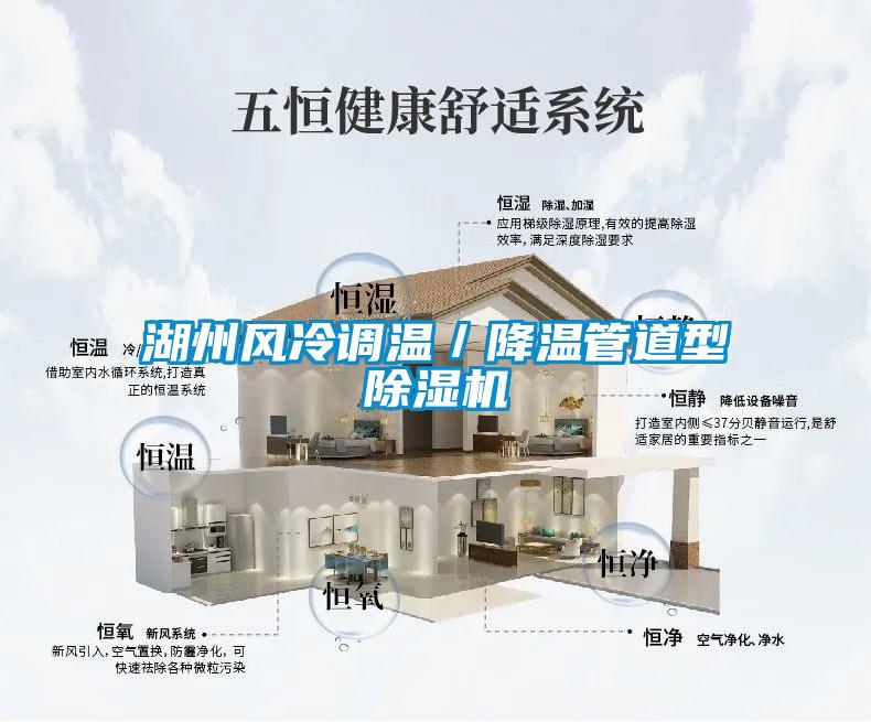 湖州風(fēng)冷調(diào)溫／降溫管道型除濕機