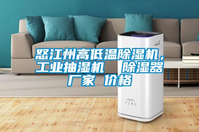 怒江州高低溫除濕機(jī)，工業(yè)抽濕機(jī)  除濕器廠家 價(jià)格
