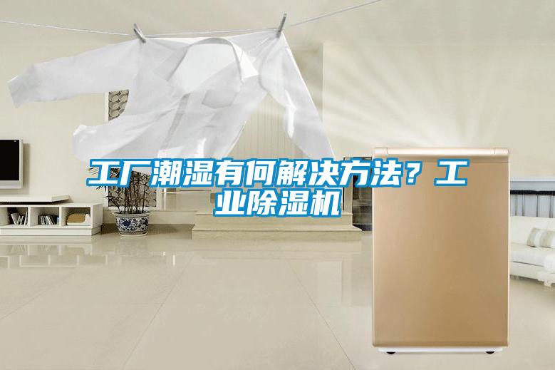 工廠潮濕有何解決方法？工業(yè)除濕機
