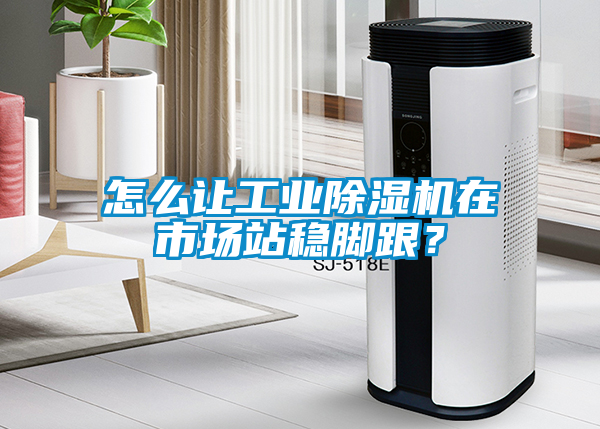 怎么讓工業(yè)除濕機(jī)在市場(chǎng)站穩(wěn)腳跟？