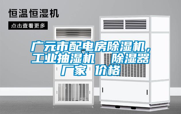 廣元市配電房除濕機(jī)，工業(yè)抽濕機(jī)  除濕器廠家 價(jià)格