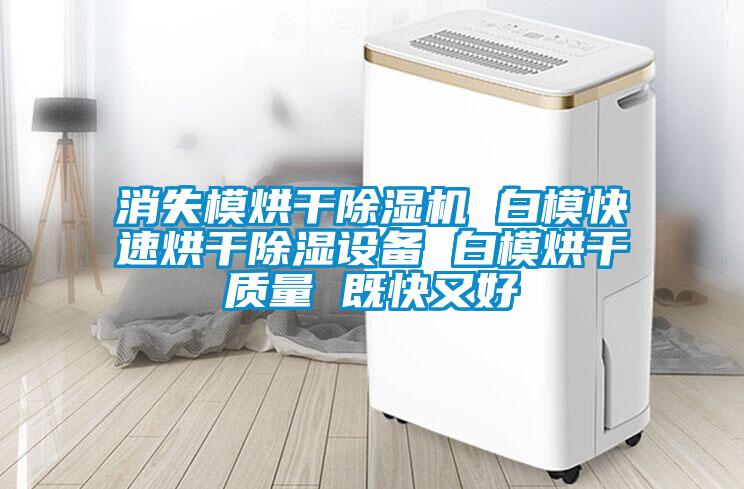 消失模烘干除濕機(jī) 白?？焖俸娓沙凉裨O(shè)備 白模烘干質(zhì)量 既快又好