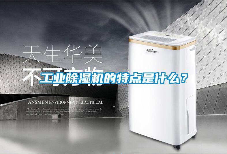 工業(yè)除濕機(jī)的特點(diǎn)是什么？