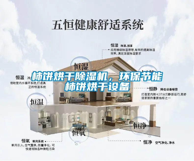 柿餅烘干除濕機(jī)，環(huán)保節(jié)能柿餅烘干設(shè)備