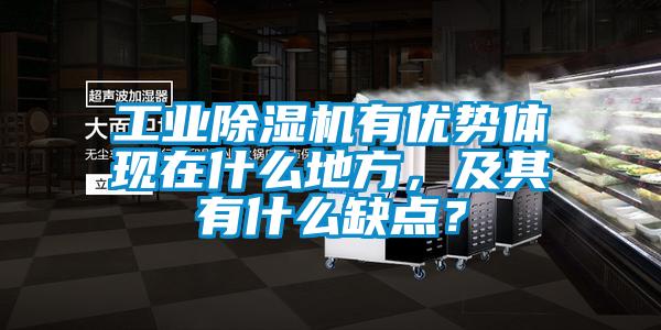 工業(yè)除濕機(jī)有優(yōu)勢(shì)體現(xiàn)在什么地方，及其有什么缺點(diǎn)？