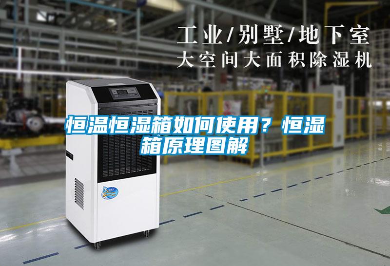 恒溫恒濕箱如何使用？恒濕箱原理圖解