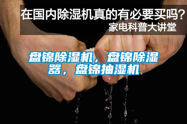 盤錦除濕機(jī)，盤錦除濕器，盤錦抽濕機(jī)