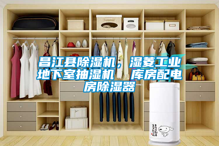 昌江縣除濕機，濕菱工業(yè)地下室抽濕機  庫房配電房除濕器