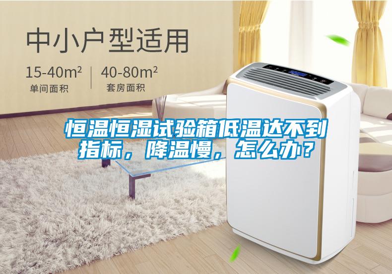 恒溫恒濕試驗箱低溫達不到指標(biāo)，降溫慢，怎么辦？