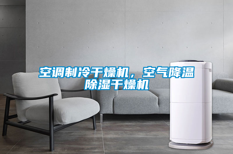 空調(diào)制冷干燥機(jī)，空氣降溫除濕干燥機(jī)