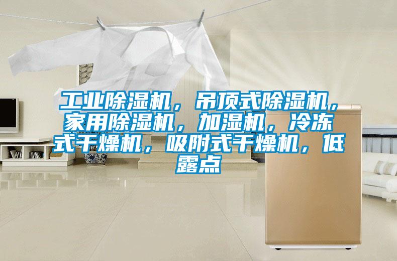 工業(yè)除濕機(jī)，吊頂式除濕機(jī)，家用除濕機(jī)，加濕機(jī)，冷凍式干燥機(jī)，吸附式干燥機(jī)，低露點(diǎn)