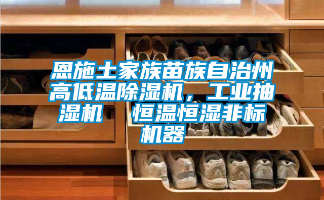 恩施土家族苗族自治州高低溫除濕機，工業(yè)抽濕機  恒溫恒濕非標機器