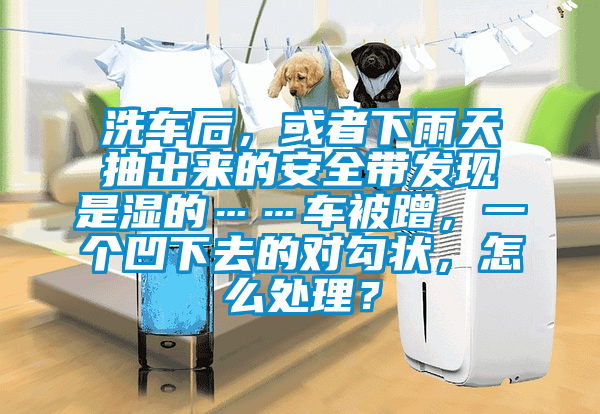 洗車后，或者下雨天抽出來(lái)的安全帶發(fā)現(xiàn)是濕的……車被蹭，一個(gè)凹下去的對(duì)勾狀，怎么處理？