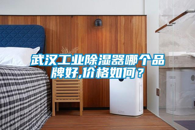 武漢工業(yè)除濕器哪個品牌好,價格如何？