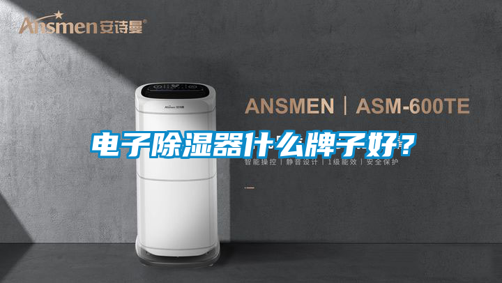 電子除濕器什么牌子好？
