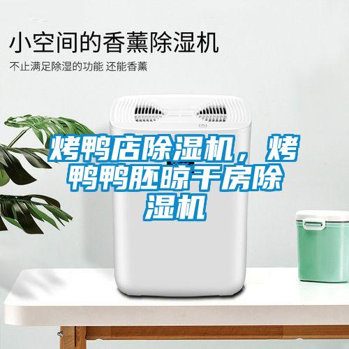 烤鴨店除濕機(jī)，烤鴨鴨胚晾干房除濕機(jī)