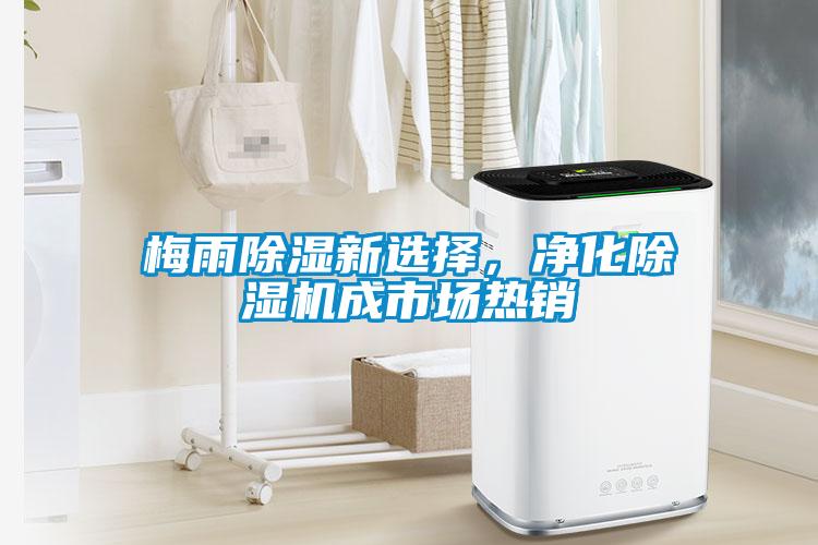 梅雨除濕新選擇，凈化除濕機(jī)成市場(chǎng)熱銷