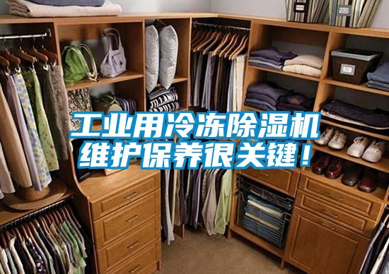 工業(yè)用冷凍除濕機維護保養(yǎng)很關(guān)鍵！
