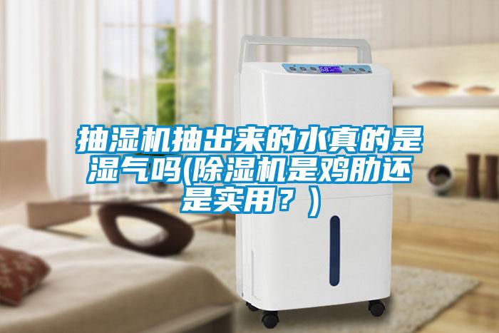 抽濕機(jī)抽出來的水真的是濕氣嗎(除濕機(jī)是雞肋還是實用？)