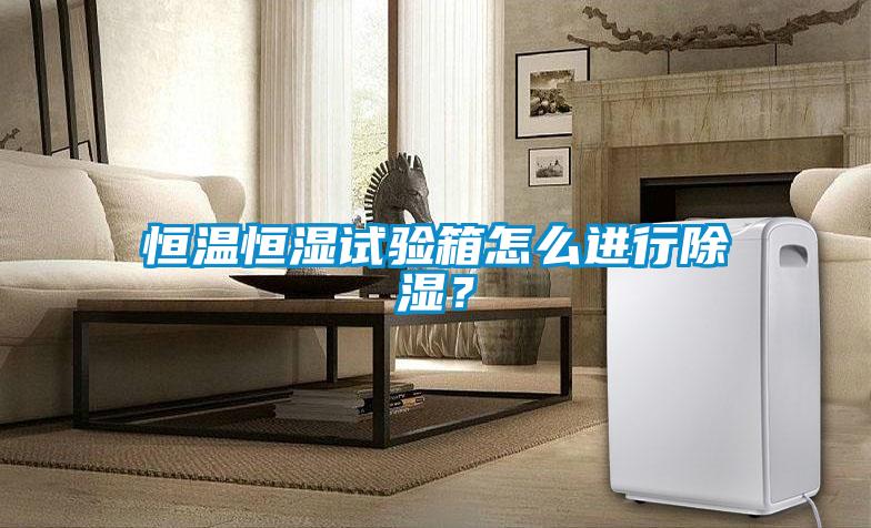 恒溫恒濕試驗箱怎么進(jìn)行除濕？
