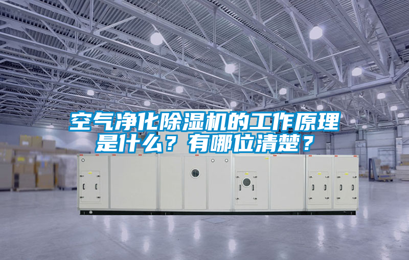 空氣凈化除濕機(jī)的工作原理是什么？有哪位清楚？