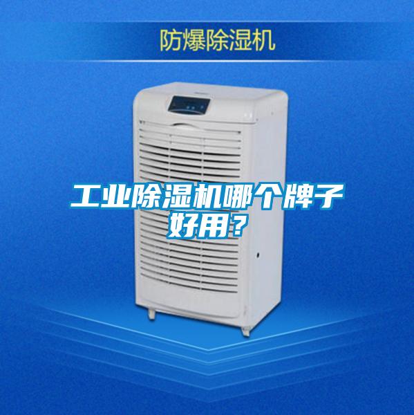 工業(yè)除濕機(jī)哪個(gè)牌子好用？