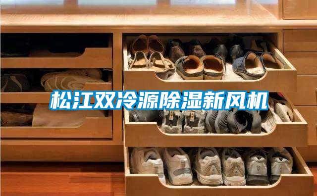 松江雙冷源除濕新風(fēng)機