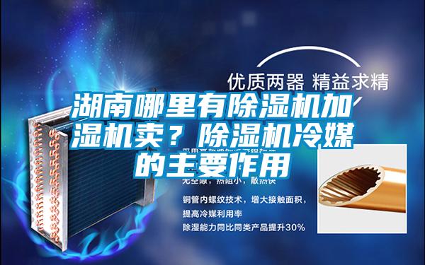 湖南哪里有除濕機加濕機賣？除濕機冷媒的主要作用