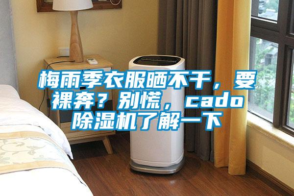 梅雨季衣服曬不干，要裸奔？別慌，cado除濕機了解一下