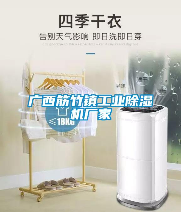 廣西筋竹鎮(zhèn)工業(yè)除濕機(jī)廠(chǎng)家