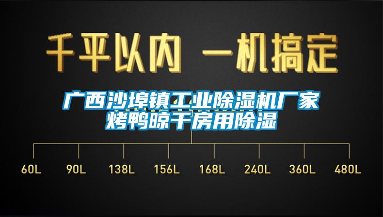 廣西沙埠鎮(zhèn)工業(yè)除濕機廠家烤鴨晾干房用除濕