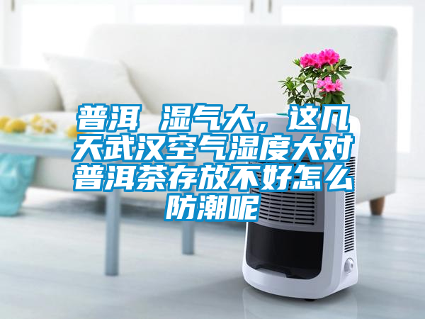 普洱 濕氣大，這幾天武漢空氣濕度大對普洱茶存放不好怎么防潮呢