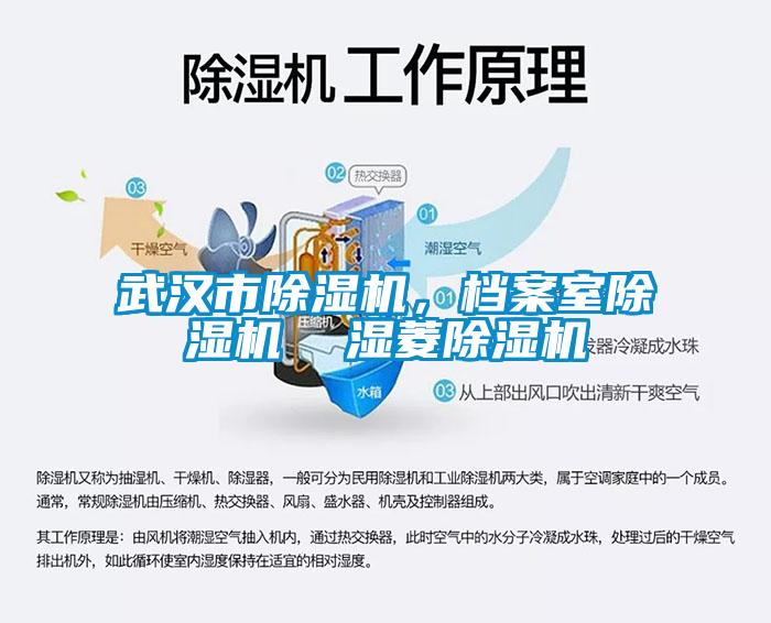 武漢市除濕機，檔案室除濕機  濕菱除濕機