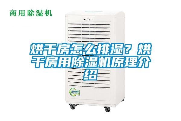 烘干房怎么排濕？烘干房用除濕機原理介紹