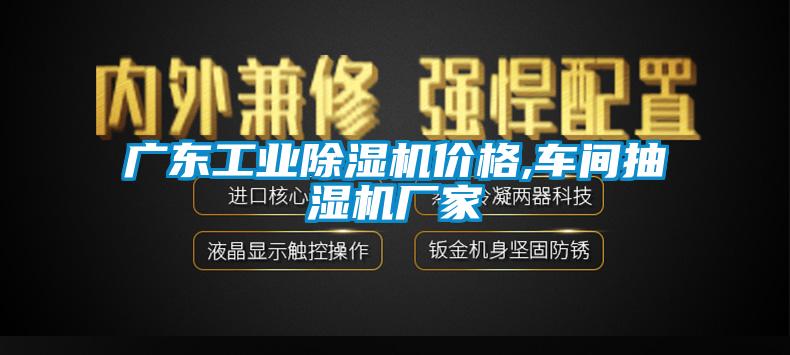 廣東工業(yè)除濕機(jī)價(jià)格,車(chē)間抽濕機(jī)廠(chǎng)家