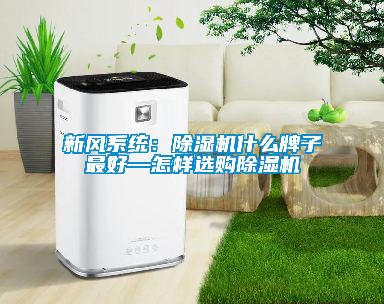 新風(fēng)系統(tǒng)：除濕機(jī)什么牌子最好—怎樣選購除濕機(jī)