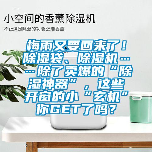 梅雨又要回來了！除濕袋、除濕機……除了賣爆的“除濕神器”，這些開窗的小“玄機”你GET了嗎？