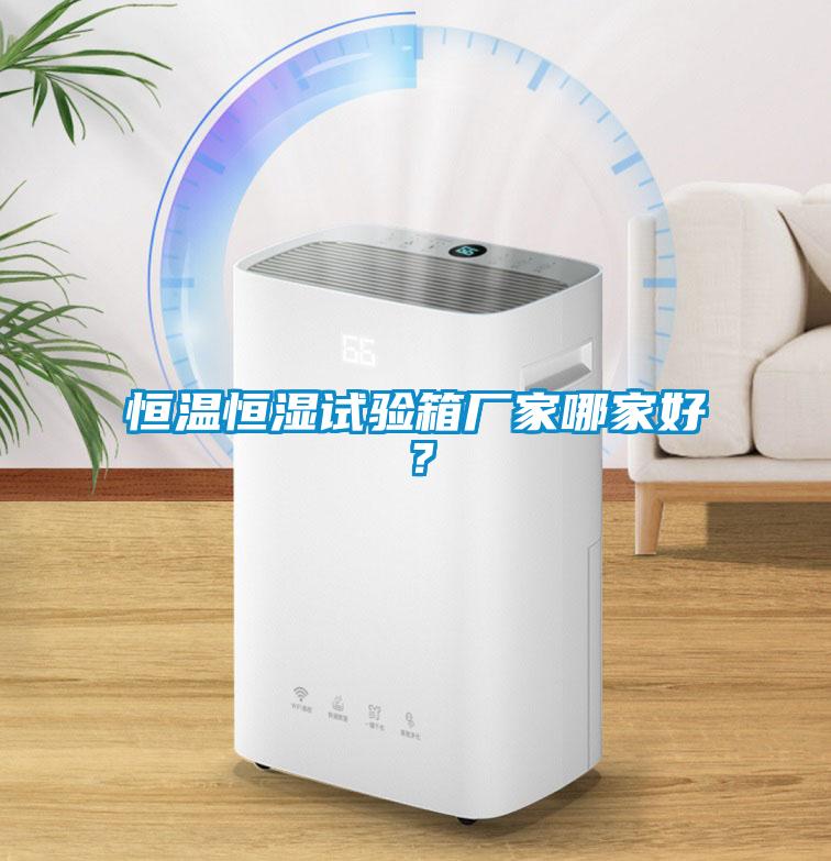 恒溫恒濕試驗(yàn)箱廠家哪家好？