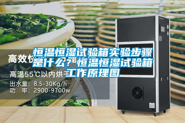 恒溫恒濕試驗(yàn)箱實(shí)驗(yàn)步驟是什么？恒溫恒濕試驗(yàn)箱工作原理圖