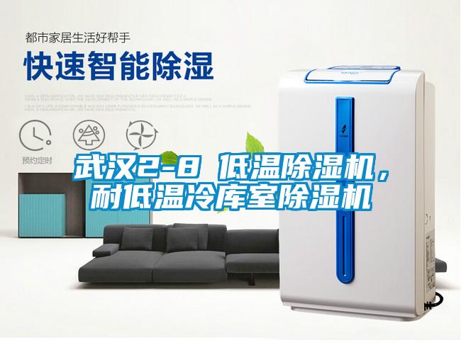 武漢2-8℃低溫除濕機(jī)，耐低溫冷庫(kù)室除濕機(jī)