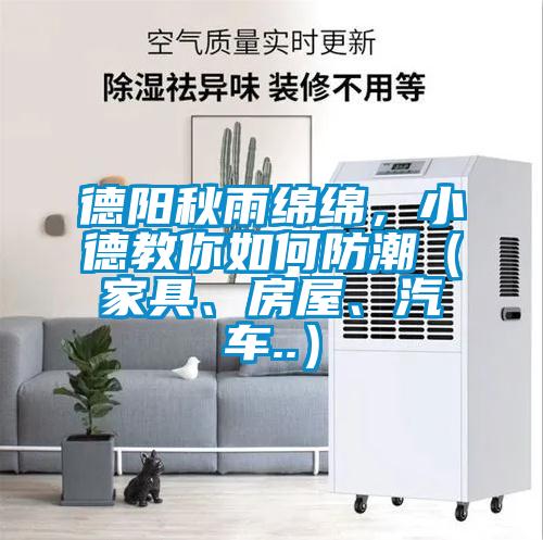 德陽秋雨綿綿，小德教你如何防潮（家具、房屋、汽車..）
