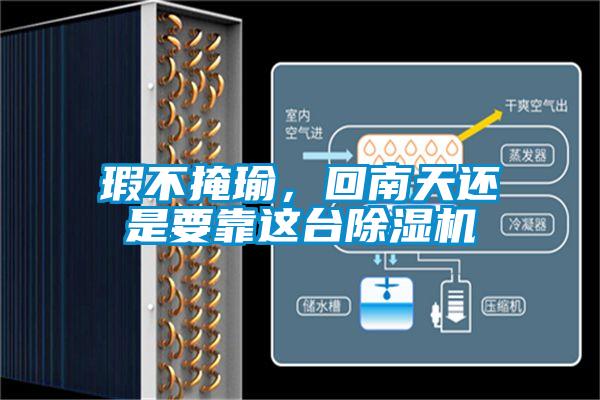 瑕不掩瑜，回南天還是要靠這臺(tái)除濕機(jī)