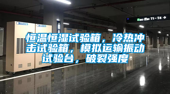 恒溫恒濕試驗(yàn)箱，冷熱沖擊試驗(yàn)箱，模擬運(yùn)輸振動(dòng)試驗(yàn)臺(tái)，破裂強(qiáng)度